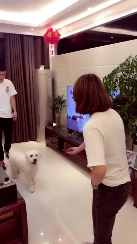 video-poster