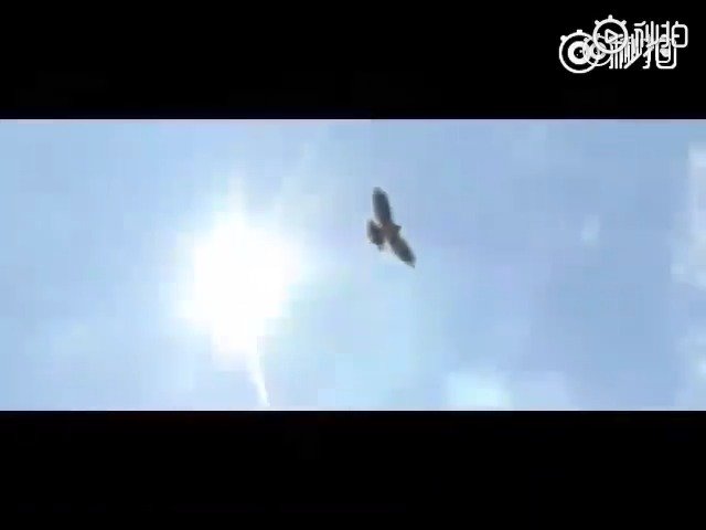 video-poster