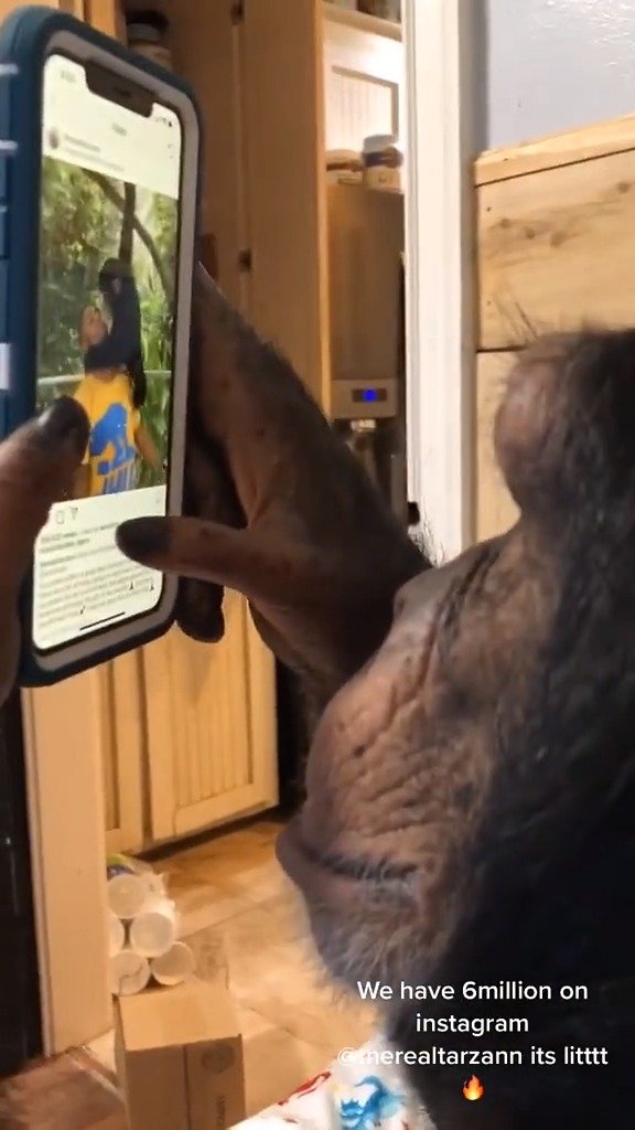 video-poster