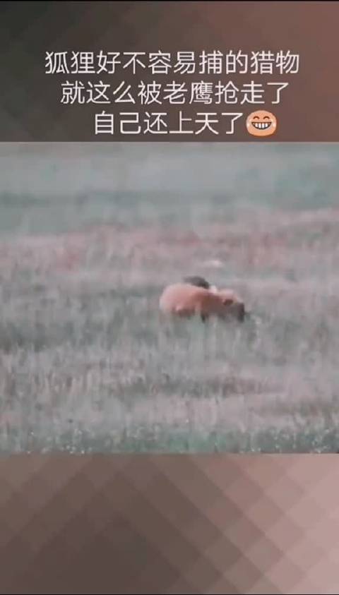 video-poster