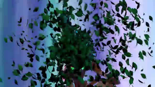 video-poster