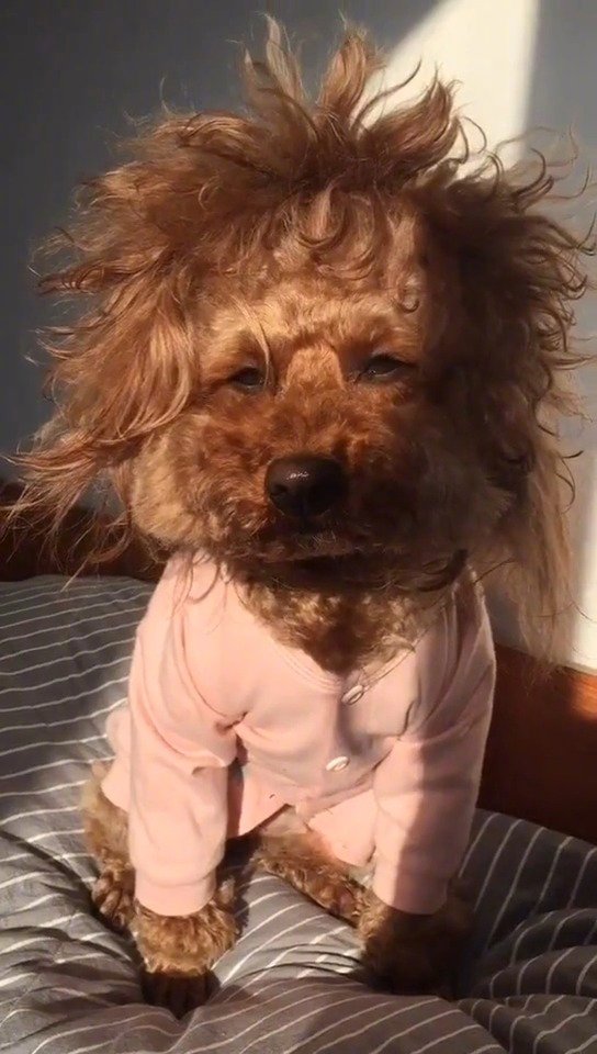 像极了早上你刚睡醒的样子zt