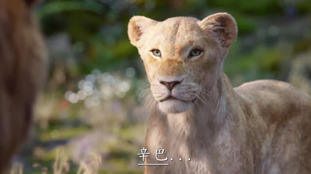 狮子王真人版中字预告你期待吗zt