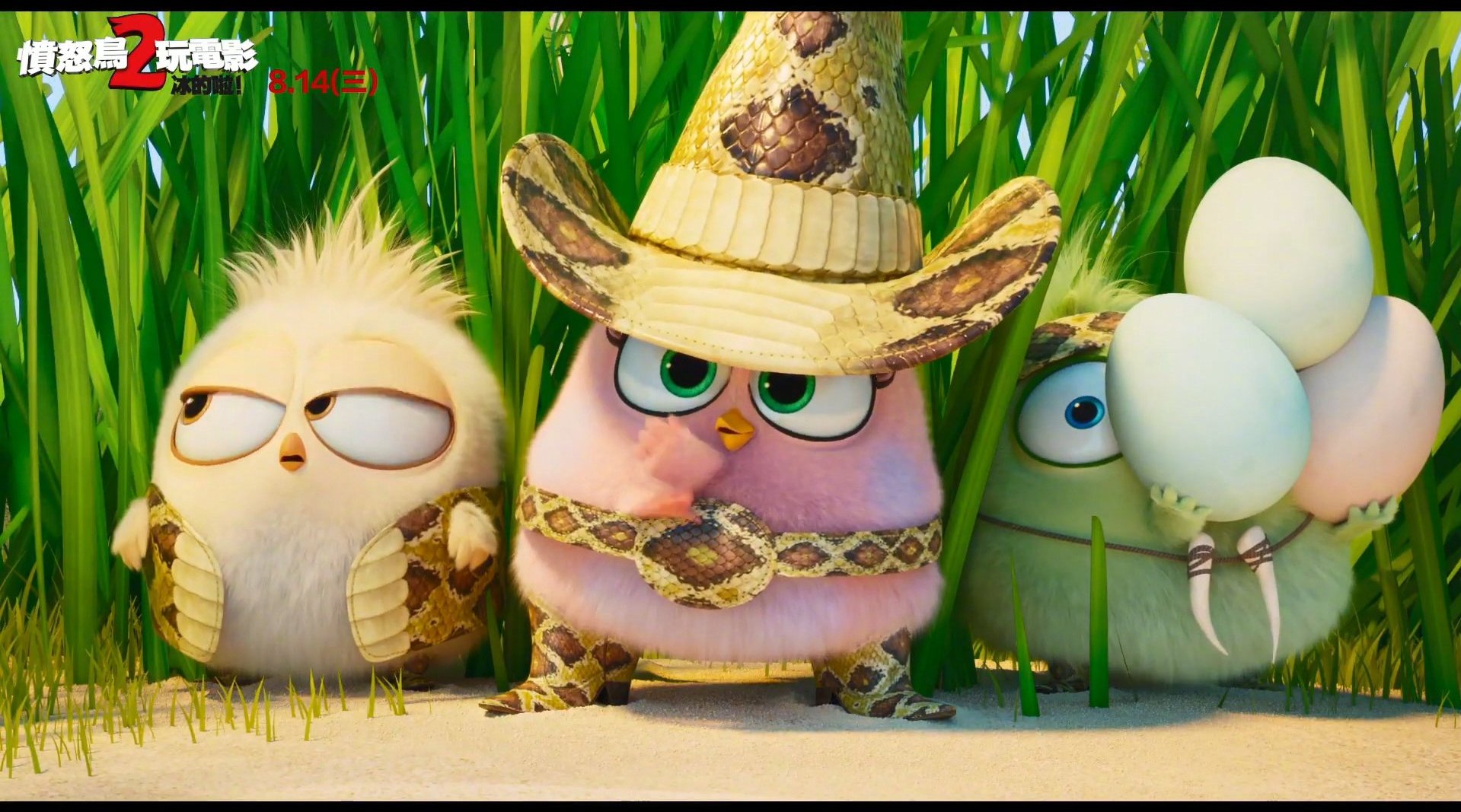 愤怒的小鸟2曝光全新官方中字预告片zt