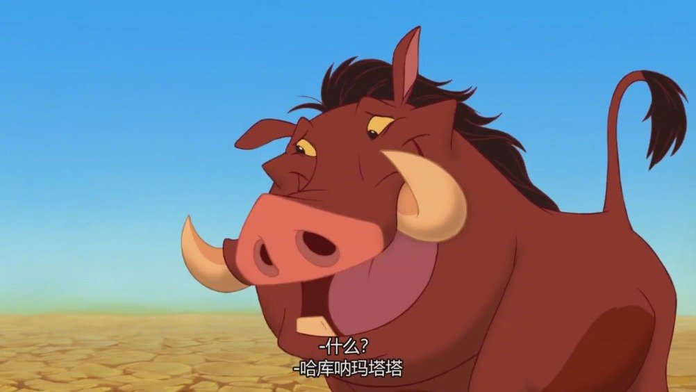 小时候最喜欢狮子王中的这一段啦哈库拉玛塔塔zt
