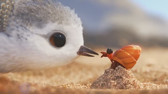 皮克斯获奖动画短片鹬太治愈了心都化了zt