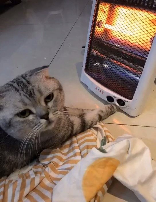 天太冷结果给自己眼睛都烤肿了zt